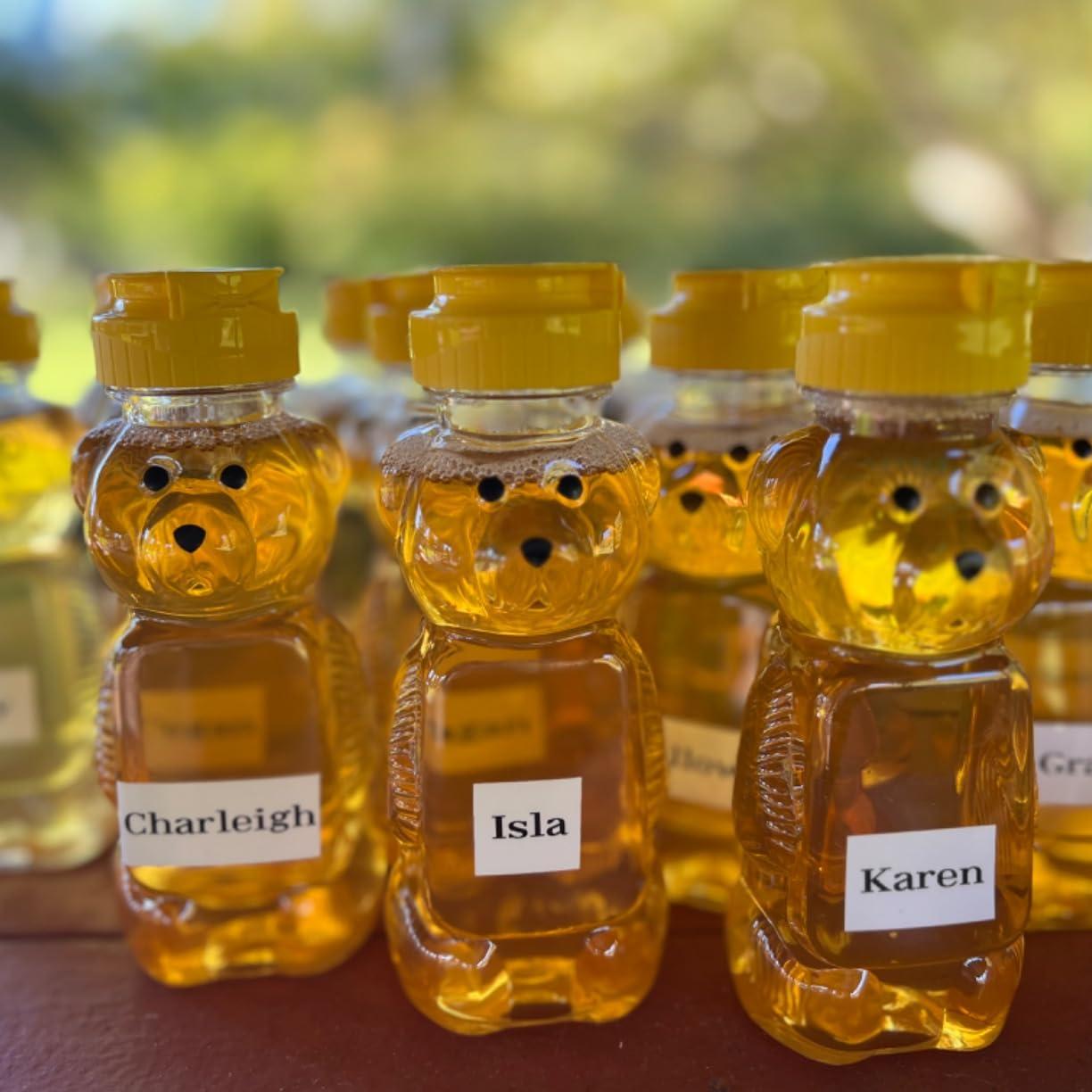 12-36pcs Plastic Bear Honey Ja - Baby Products Distributor avaliação e preço